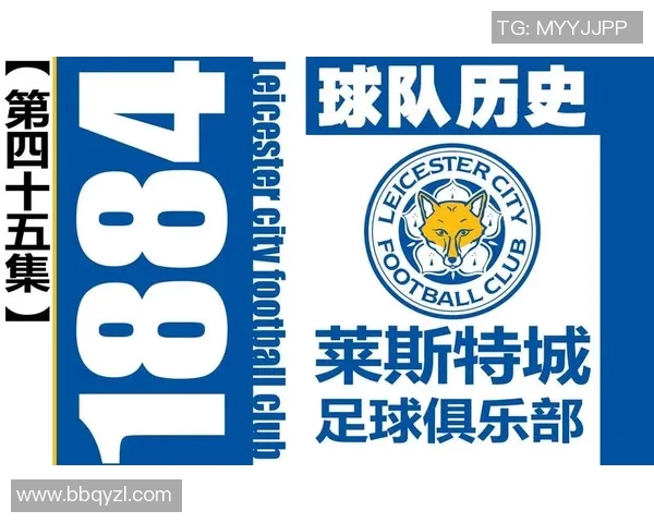 全球足球巨星标志与代表图案解析 打造属于你的足球文化符号